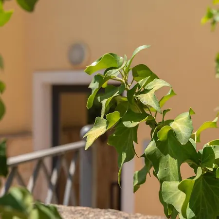 Pepigall Vista Mare Alghero
